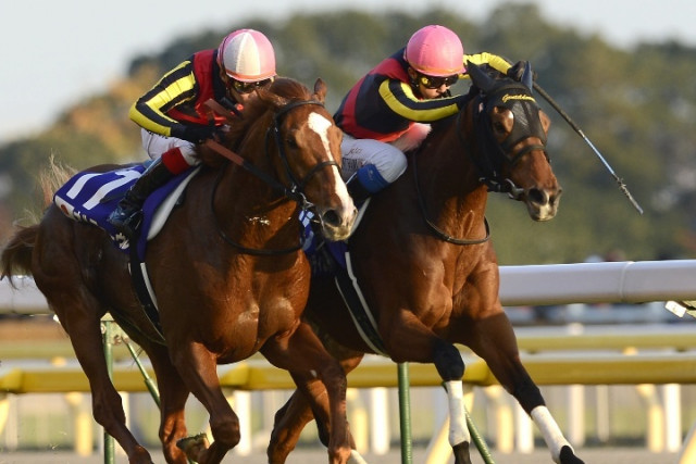 G1復刻】ジェンティルドンナ父に並ぶ歴代最多G1・7勝 最強の
