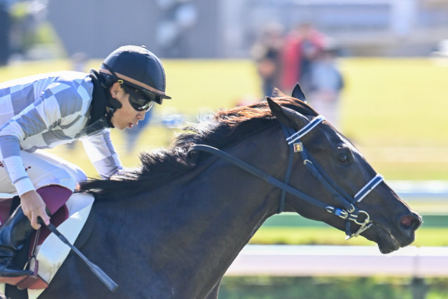 一口馬主］トップを目指せ！ 2歳世代、今週の勝ち上がり馬たち 2024/11/9,10(ウマフリ) - goo ニュース