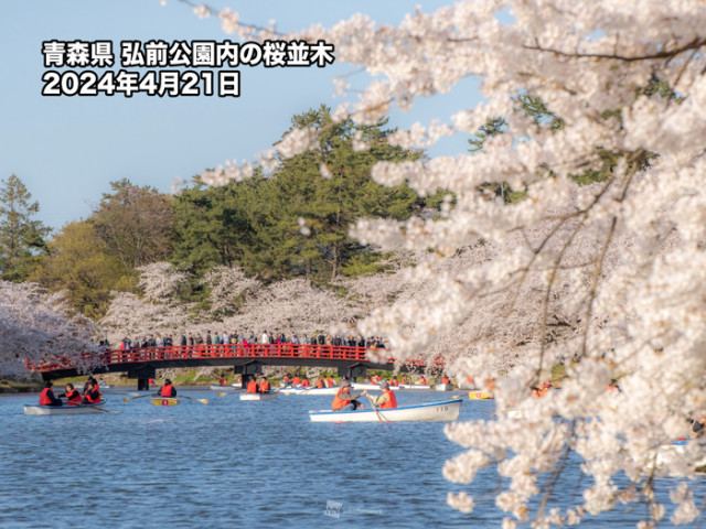 【限定特価】 最古のソメイヨシノ」が塗り替えられた!? 三大桜名所、弘前公園 メイク道具・化粧小物