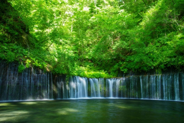 ペット 軽井沢 セール 夏 涼しい